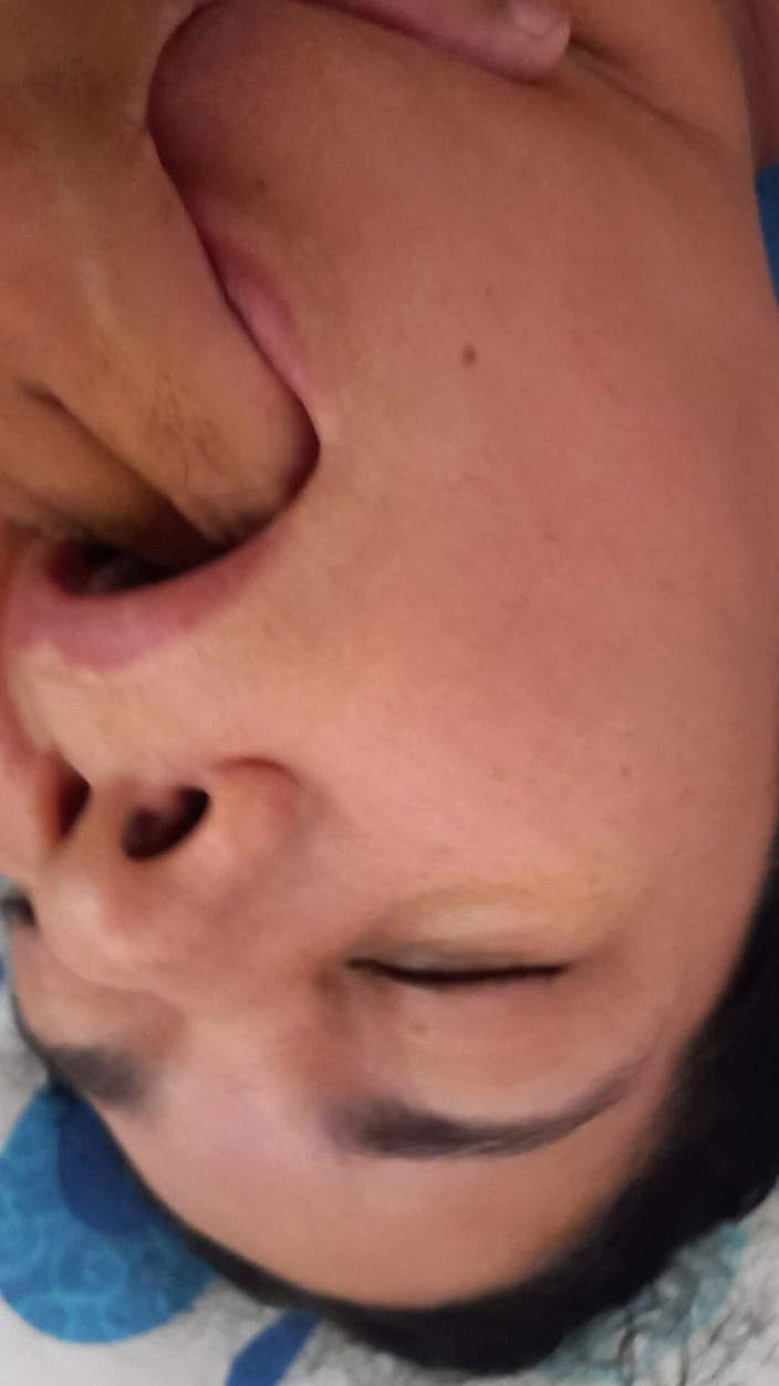 Valkyrie and Luigy Couple: 24. Jogurt mleczny dla Valkyrie zdrowa przekąski bogate w probiotyki