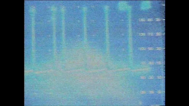 Hard Accademy: Špinavá děvka je naplněna spermatem