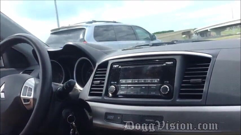 DoggVision: Highway Handjob Adventures