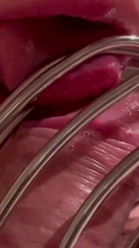 Test Video of Chastity on Dick