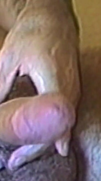 Muscular Stud Strokes His Thick Cock Slowly