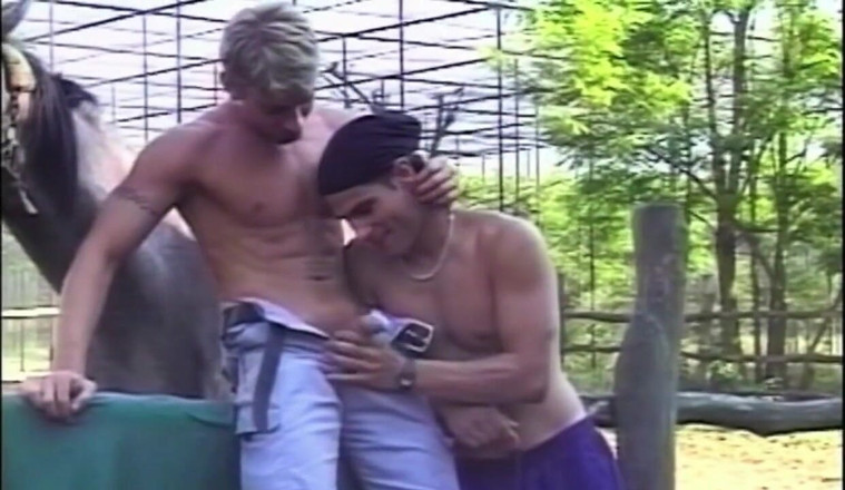 GAY VINTAGE PORN: 섹스 전시장
