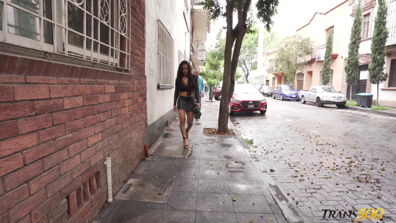 Trans 500: ジアナ・モリージョとモンスターの出会い