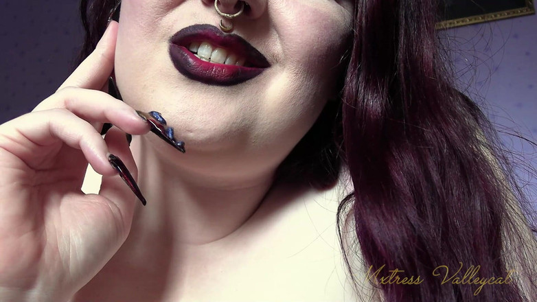 Mxtress Valleycat: Trénink poslušnosti nikotinové mlhoviny