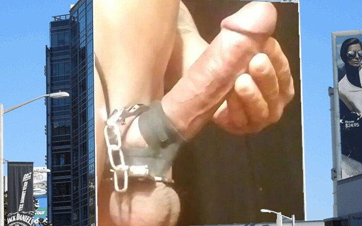 Prince of two lands: Yarak ve anal eğitim günlükleri