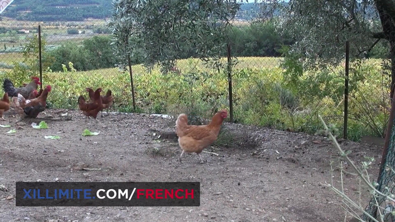French girls at work: Threesome with 2 busty mature women