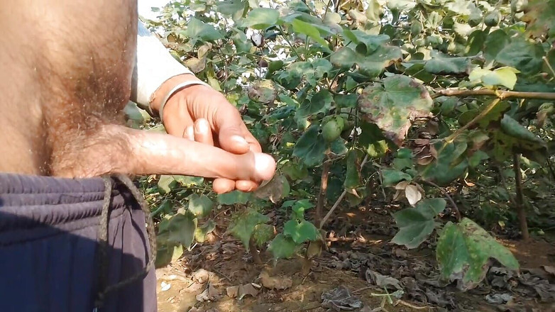 BlondeTroubleshootor: Ranní hrátky s monstrózním 8 palcovým obrovským ptákem