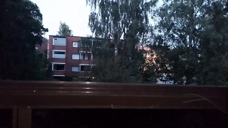 Homo Kotilainen: Homo kotilainen dan muncrat di balkon rumahnya di Kuopio.