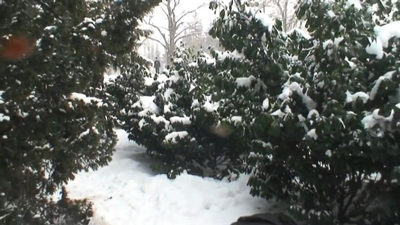 East Public: Exhibitionists have sex in the snow in front of passers-by...