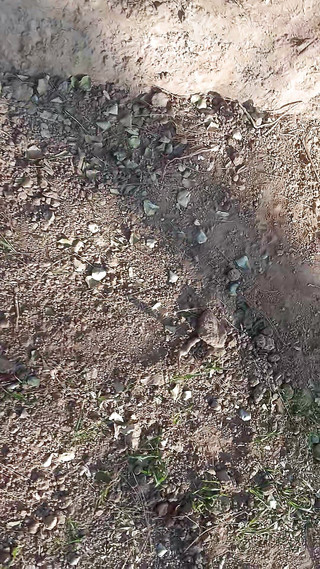 Gangbang straight: Ragazza massaggiata da sunny leone