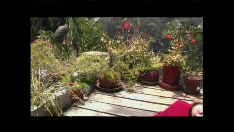 Just Great Ass: Oškliví sexuální snílci