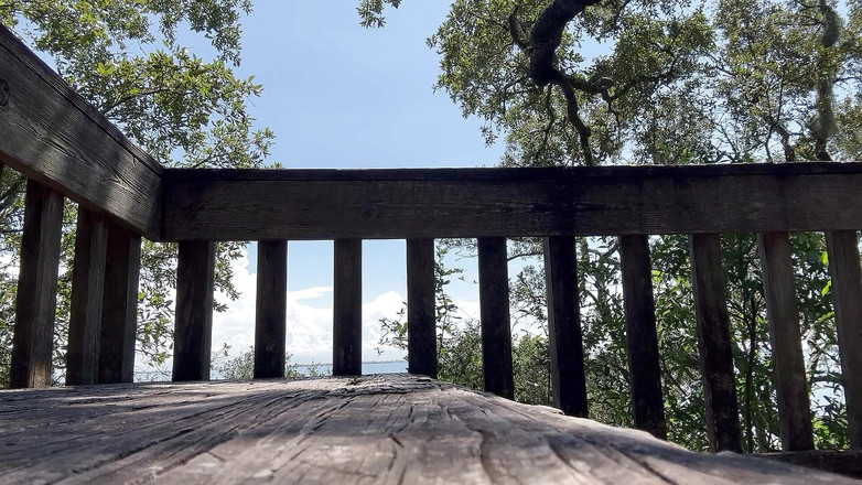 Justin Birmingham: Слинг предэябли в лесу