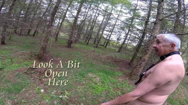 Andy: Camminata 20 2025