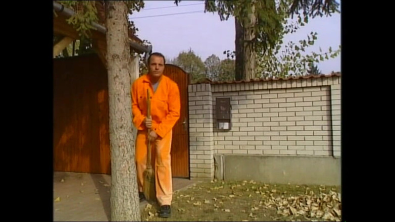 MMV TV - our best full movie: Troie porno cattive che prendono ogni cazzo che riescono a...