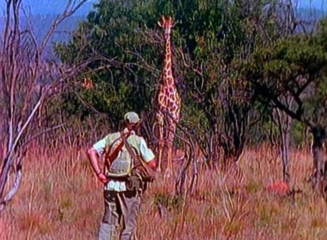 Lesbo Tube: Two hot milf lesbian slut make love in african forest