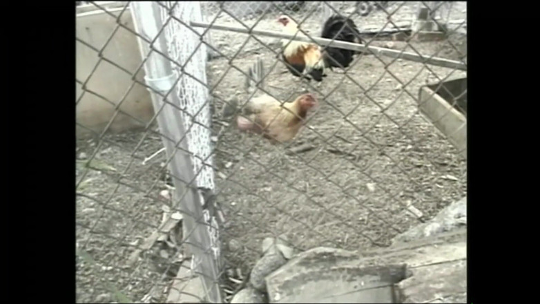 MMV TV - our best full movie: Mi Faccio Fottere Ovunque