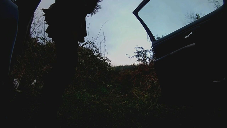 Movies by Louise: Dogging Diary vol 3 - Tied &amp; facialised