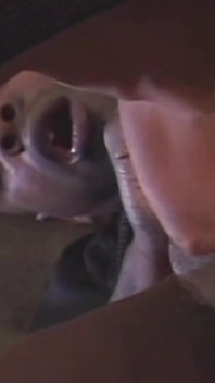 The Kissing Magic Can Make Even the Tightest Anal Treasure Trove Open up