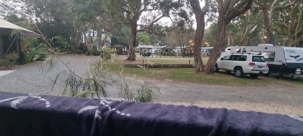 yogiyumyum: 왁스 타임