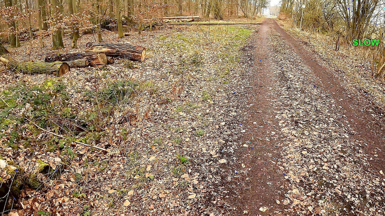 Bouncy Tits Action: O Jogo wank 27 - tente não gozar