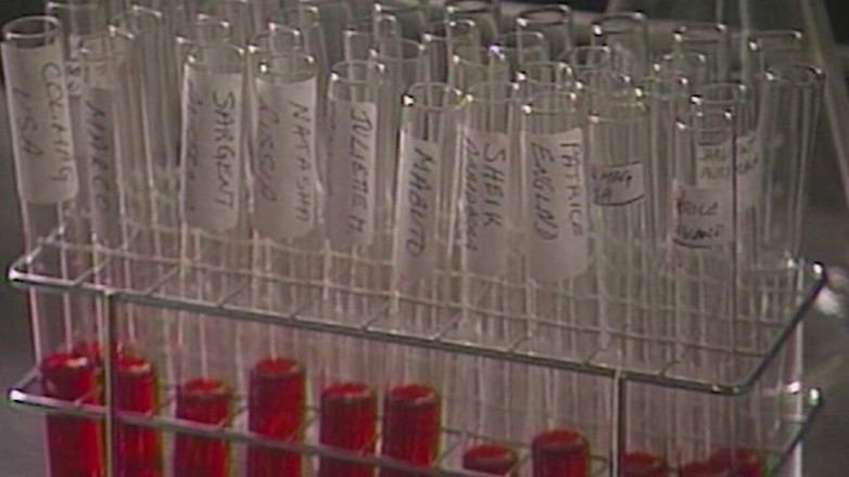 NAUGHTYPOLSKA: Nadržené vojenské hřebce v parní akci