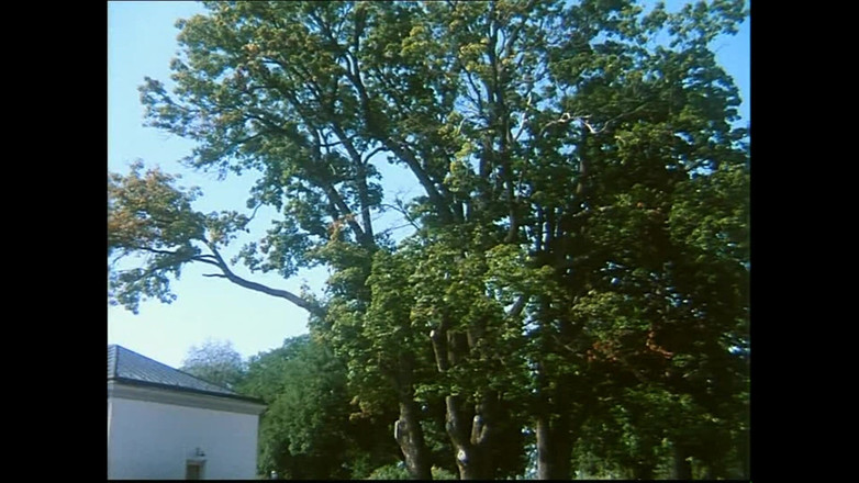 Hard Accademy: Penelan Susu