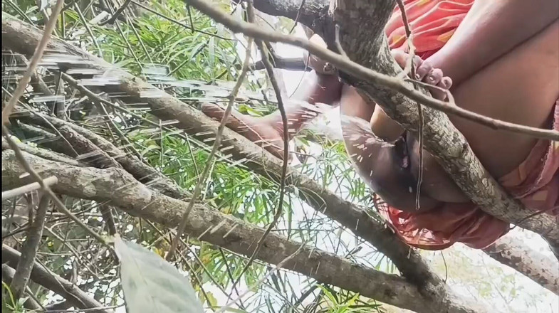 my house: 德西 namita 我不敢相信我看到了什么！在森林里撒尿等等