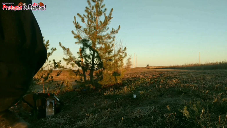 Ass Monkey: Destruiu o cu