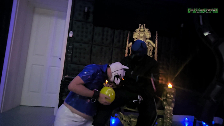 The Playing Puppies: Spielen, Welpen-turnschuhe, Stinkende Socken, Füße Und Der Gelbe Ballon