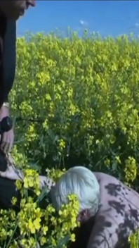Esclava sexy humillante, encadenándose arrodillado en la granja