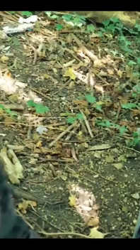 Một số nội dung thú vị sắp tới này và tuần tới