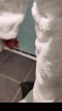 Bts Shower