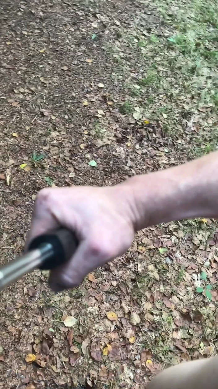 No limit cbt slave: नग्न चलना ट्रेनस्टेशन Hoevelaken