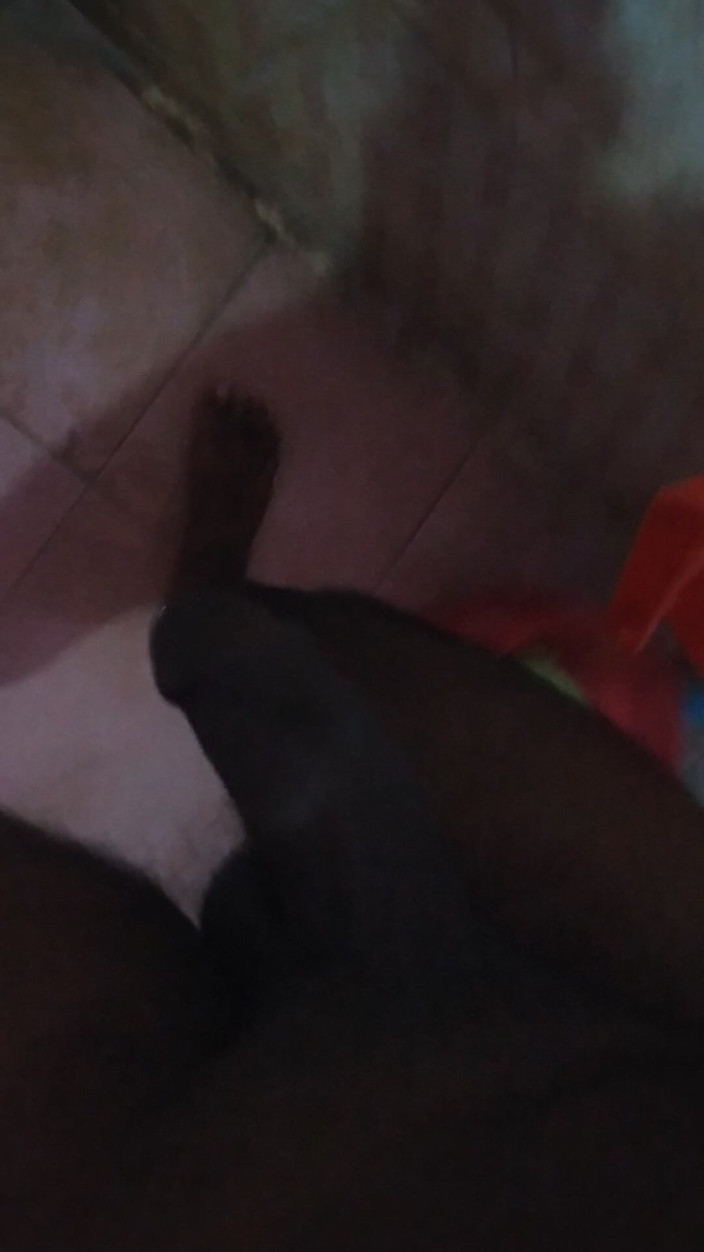 Tamil 10 inches BBC: तमिल10 इंच बड़ा काला हॉट सत्र