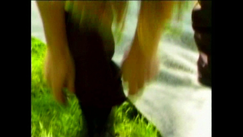 Dark Holes: 在公园里做绵羊