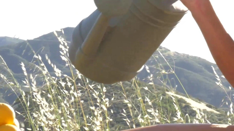 Lesbian Illusion: La Grande Sfida Delle Lesbiche Top Model!!! - (sfida #01)