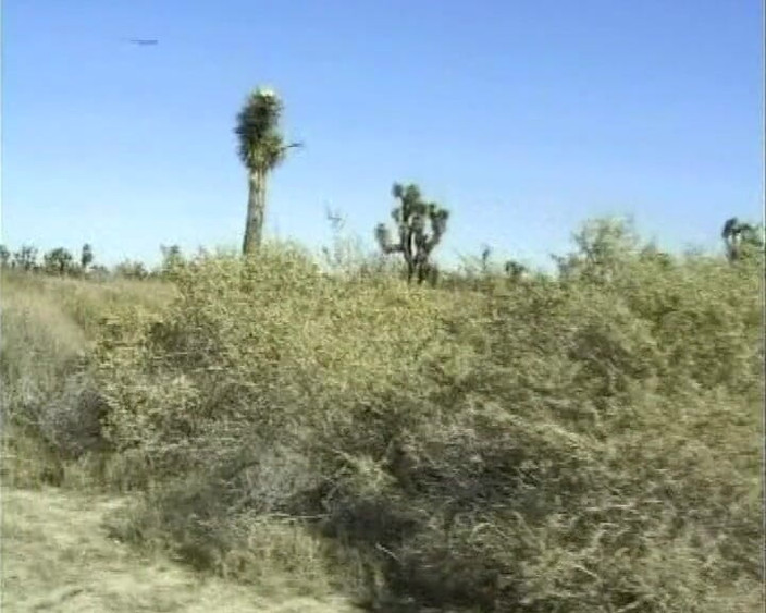 German's Old Chicks: Almanya'dan olgun orta yaşlı seksi kadın sikiliyor