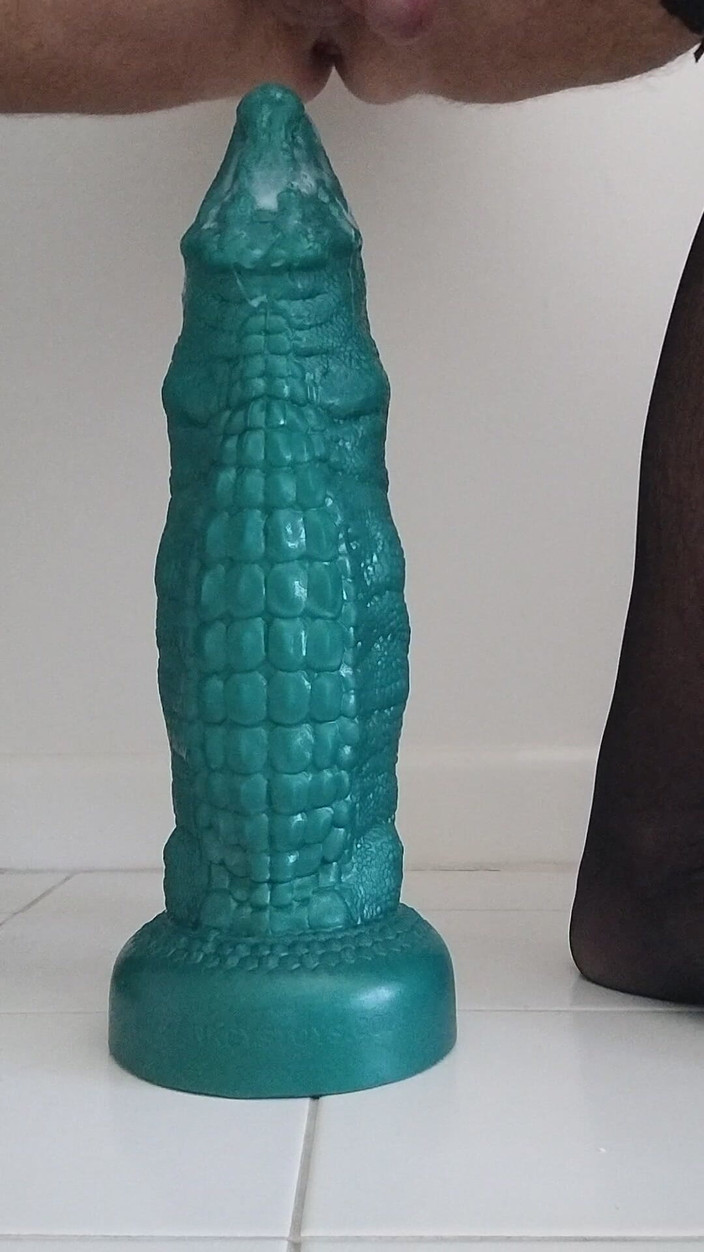 dragontrainer5: Cd en lencería muestra bragas negras arioas antes de follar...