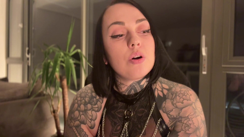 Miss Valentina: Cerda de azúcar