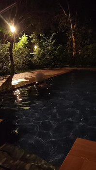 Het fru riskerar att knulla i allmän pool på natten