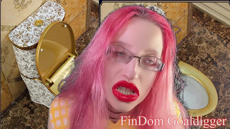 FinDom Goaldigger: Toilet cleaner servant transformation!