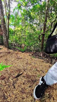 Sex mit einem Touristen auf einem Waldweg