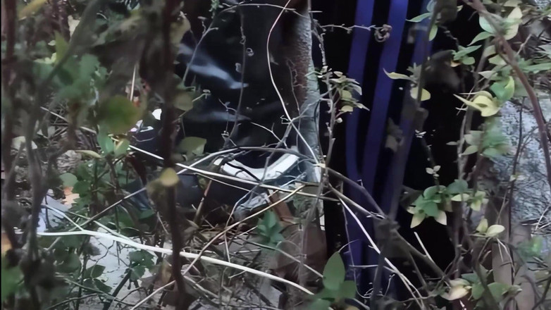 Transsexuell and gay club: 야생 야외 게이 유적 만남