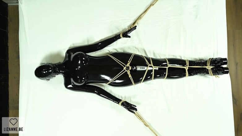 Lizanne: Bound and Vibed
