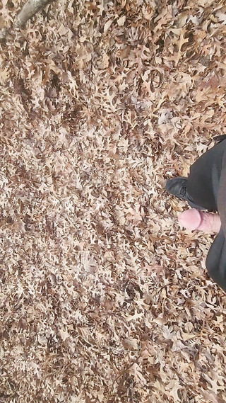 Djk31314: Je me balade avec ma bite dehors