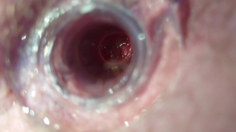 Carmen_Nylonjunge: Un piccolo test con il tunnel anale