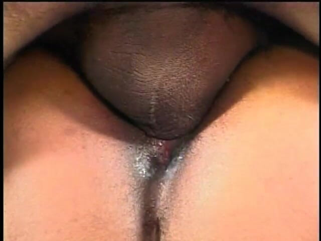 Anal seduction: Gorąca murzynka suka dostaje jej tyłek zatrzasnął na zewnątrz