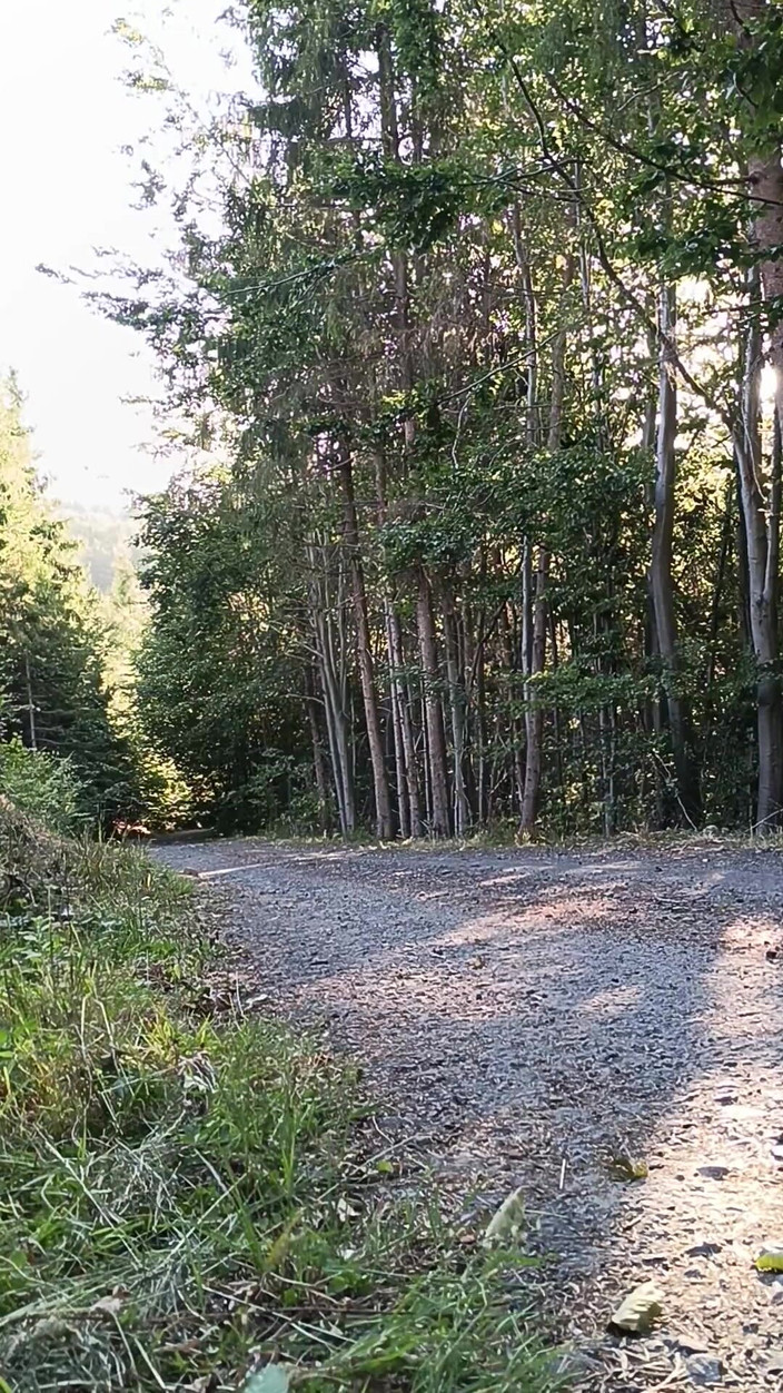 kickerscooter: Il motociclista dello scooter si masturba all'aperto