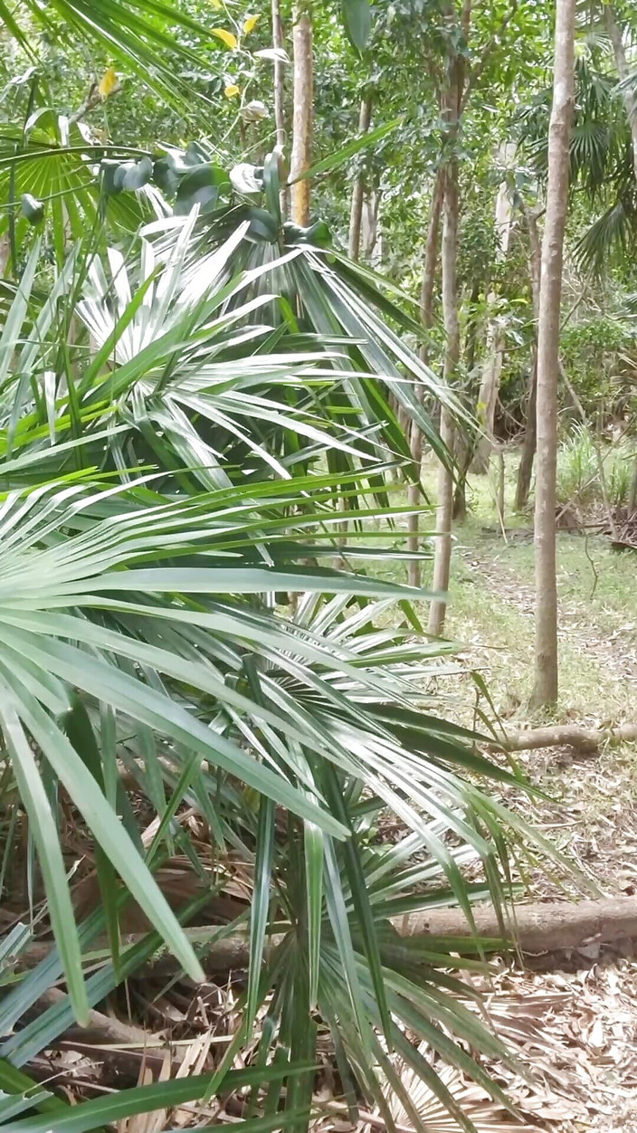 Madaussiehere: Ризикована камшот на відкритому повітрі в суцільному купальнику