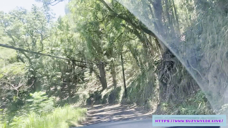 Suzy Wylde: マウイ島ワイモクフォールズのスージー・ワイルドのためのハナへのSfwロードトリップ